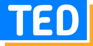 TED Inc, Management Consulting Firm