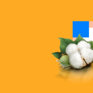 Alternative view of Annual Maintenance